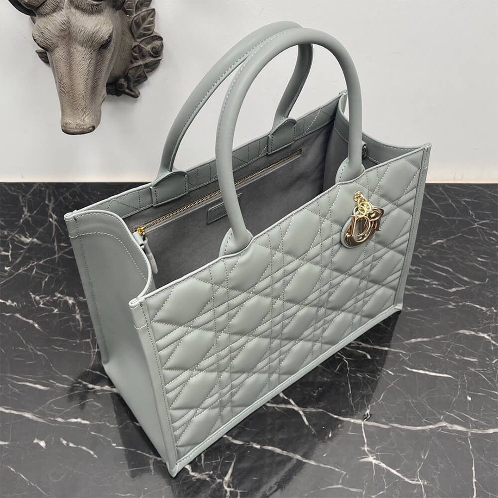 Dior Medium Dior Book Tote