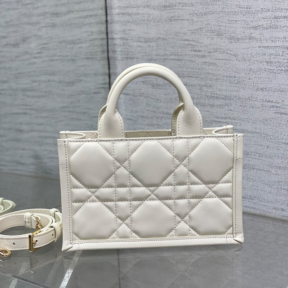 Mini Dior Book Tote